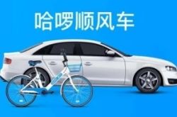 【2分钟科普】绍兴公司咨询服务电话_哔哩哔哩